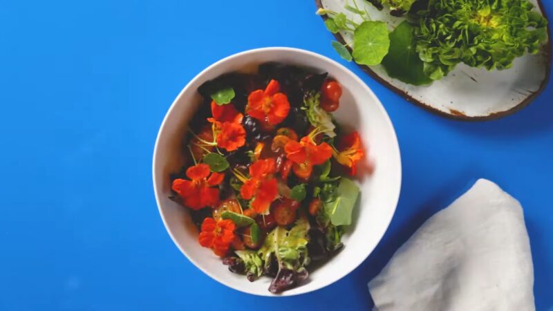 Cooking - Edible Flowers